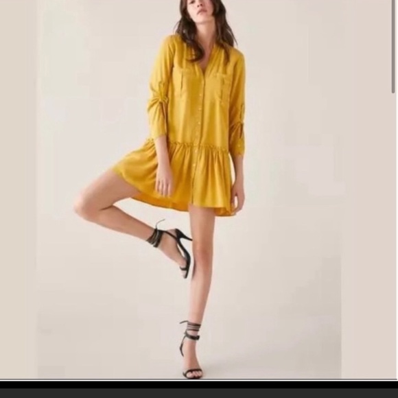 Zara Drop Waist Dress - Picture 2 of 7